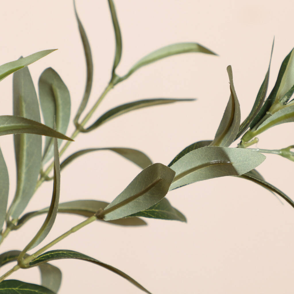 Artificial Evergreen Olive Tree By Dibor