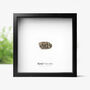 Aletai Authentic Meteorite Wall Hanging Box Frame, thumbnail 1 of 2