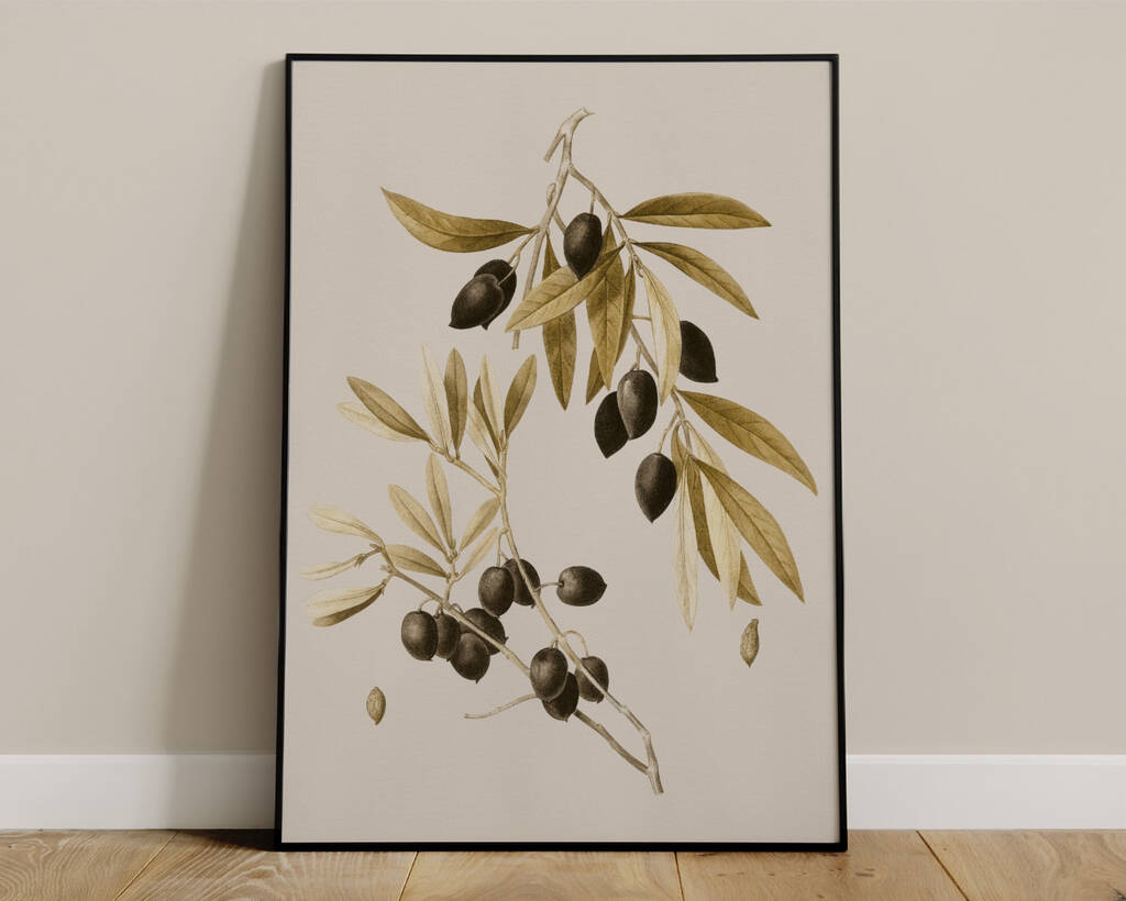 Olive Tree Botanical Art Print By Norfolk Print Collective