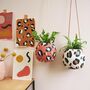 Leopard Print Round Hanging Plant Pots, thumbnail 5 of 10