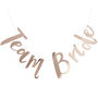 Rose Gold Team Bride Hen Party Bunting Backdrop, thumbnail 2 of 3