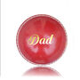 Daddy's Personalised Cricket Ball, thumbnail 2 of 4