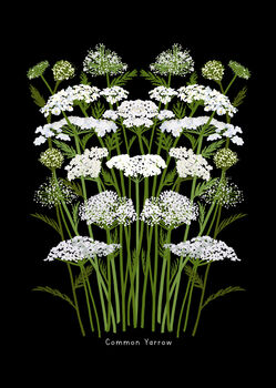 Family Wall Calendar 2026, 6 of 7