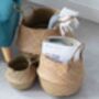 Seagrass Belly Storage Baskets Three Sizes Or Set, thumbnail 6 of 6