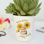 Guinea Pig Plant Pot With Seeds, thumbnail 1 of 2