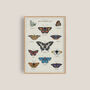 British Butterfly Art Poster, thumbnail 1 of 10