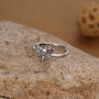 Sterling Silver Death’s Head Hawk Moth Ring, thumbnail 4 of 12