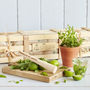 Personalised Grow Your Own Mojito Cocktail Kit, thumbnail 1 of 8