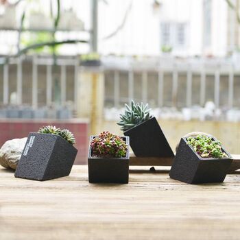 Black Cement Planter With Choice Of Plant, 2 of 8