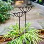 Set Of Two Cow Parsley Garden Stakes Ltkot018, thumbnail 4 of 5