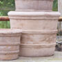 Terracotta Plant Pot In Three Sizes, thumbnail 3 of 3
