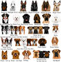 Premium Dog Breed Heart Tag Illustrated, thumbnail 3 of 12