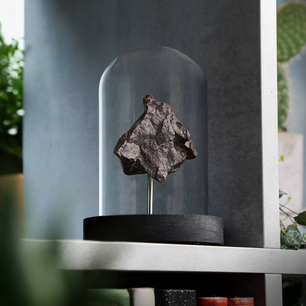 Xl Chondrite Authentic Meteorite Glass Dome Bell Jar, 1 of 2