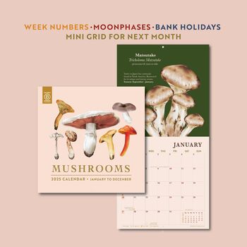 2025 Calendar | Mushroom, 9 of 9