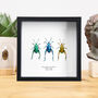 Frog Legged Beetle Collection Handcrafted Frame, thumbnail 1 of 3