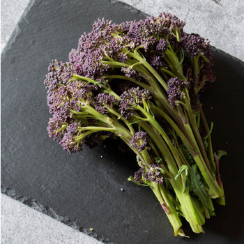 Purple Sprouting Broccoli 18 X Plug Plant Pack, 3 of 5