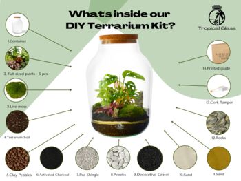 Diy Large Terrarium Kit | 'Panama', 3 of 12