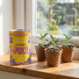 Personalised July Grow Your Own Flower Gift, thumbnail 2 of 4