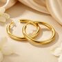 Simply Chunky Gold Plated Hoop Stud Earrings, thumbnail 1 of 4
