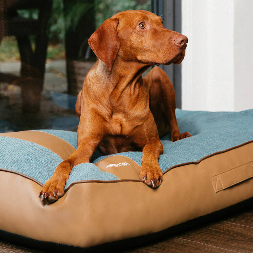Sustainable Luxury Dog Bed Mattress Barry, 1 of 6