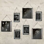 Collection Of Three Monochrome Dried Flower Art Prints, thumbnail 8 of 9
