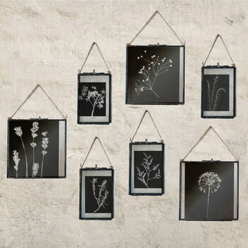 Collection Of Three Monochrome Dried Flower Art Prints, 8 of 9