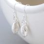 Sterling Silver Cowrie Shell Drop Earrings, thumbnail 2 of 6