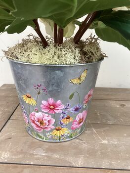 Cream Peony Artificial Silk Flower Arrangement Mothers Day Gift, 4 of 6