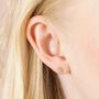 Set Of Four Crystal Celestial Stud Earrings, thumbnail 3 of 9