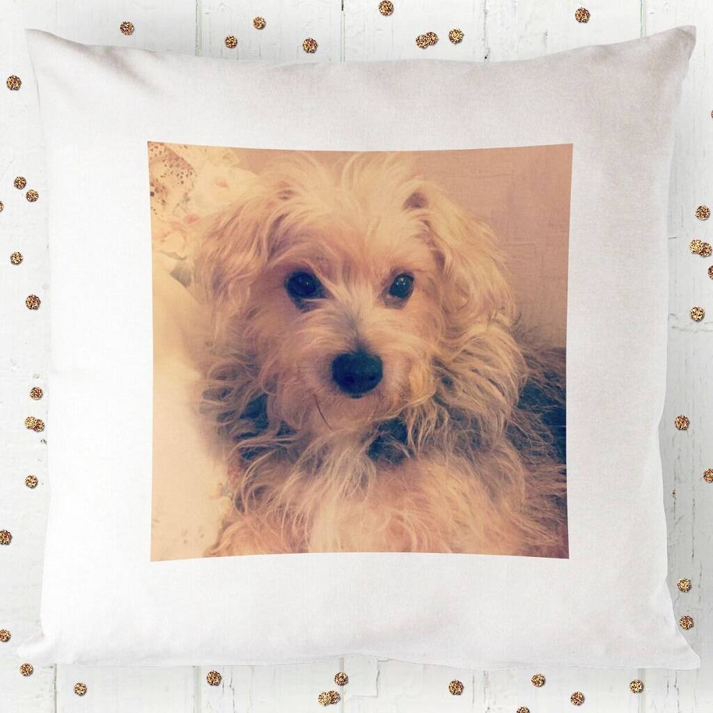 personalized pet cushion