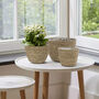 Pack Of Three Natural Seagrass Planter Baskets, thumbnail 5 of 8