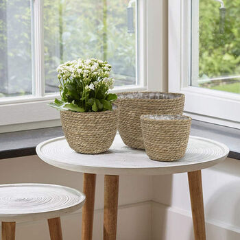 Pack Of Three Natural Seagrass Planter Baskets, 5 of 8