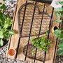 Set Of Two Heart Planter Trays, thumbnail 5 of 5