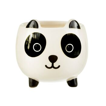 Cute Panda Planter With Choice Of Plants, 3 of 4