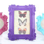 Colourful Photo Frames, Mothers Day, thumbnail 3 of 5