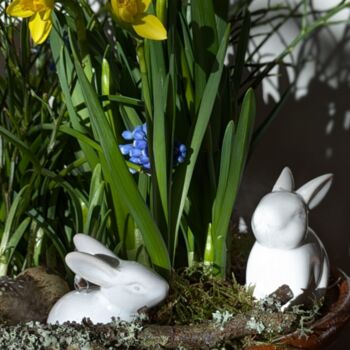 Spring Bulbs Zinc Planter Gift Wrapped X 11 Bulbs, 8 of 8