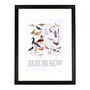 Aestes Wetland Birds Art Print, thumbnail 5 of 5