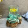 Handcrafted Root Wood And Molten Glass Bowl Candle Holder, thumbnail 2 of 8