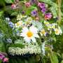 Grow Your Own Wildflower Bouquet And Vase Gift Set, thumbnail 10 of 12