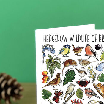 Hedgerow Wildlife Of Britain Greeting Card, 4 of 8