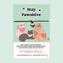 Stay Pawsitive Cat Wish Bracelet, thumbnail 1 of 3
