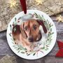 Personalised Pet Christmas Decoration, thumbnail 1 of 4