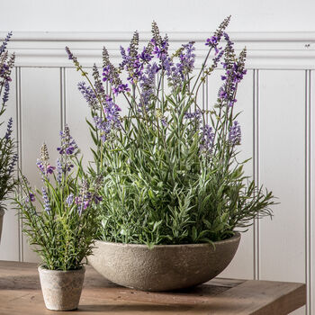 Faux Potted Lavender Bowl, 4 of 4