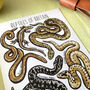 Reptiles Of Britain Watercolour Postcard, thumbnail 7 of 10
