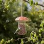 Mushroom Bird Feeder Porcini, thumbnail 1 of 2