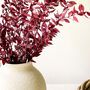 Burgundy Red Ruscus Stems, thumbnail 5 of 6