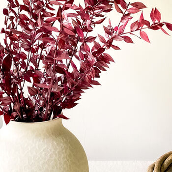 Burgundy Red Ruscus Stems, 5 of 6