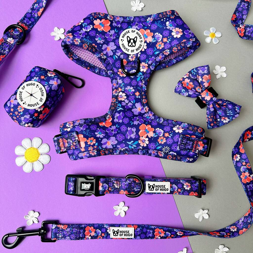 Ditsy Floral Dog Harness Bundle Collar And Lead Set, 1 of 12