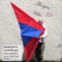 Giant Delta Kite, thumbnail 5 of 11