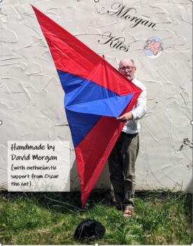 Giant Delta Kite, 5 of 11